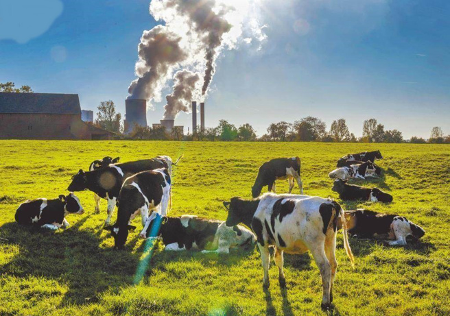 郭正亮指出，2030碳达峰真的落实下去，很多东西也是会涨价。（本报系资料照）