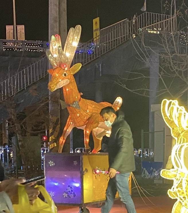 「国姓第一猛鹿」那话儿长达30公分，每年展出都成焦点，让游客既害羞又兴奋。（民眾提供／杨静茹南投传真）