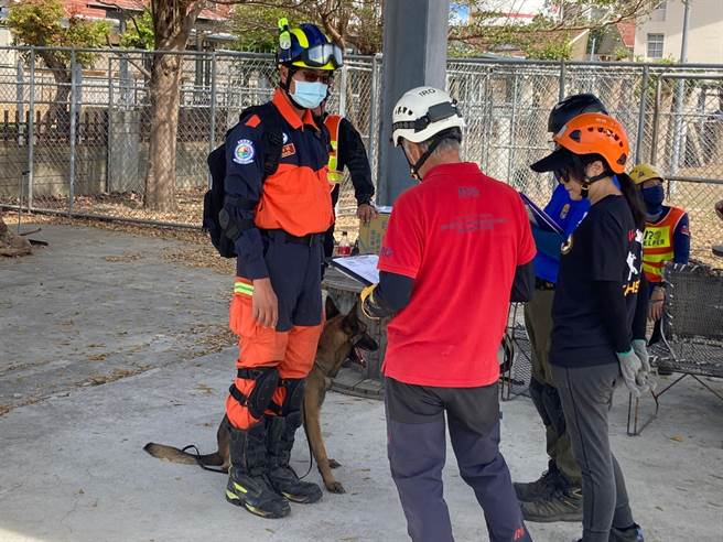 新北市消防局再有2只搜救犬获IRO中级认证。（新北市消防局提供）