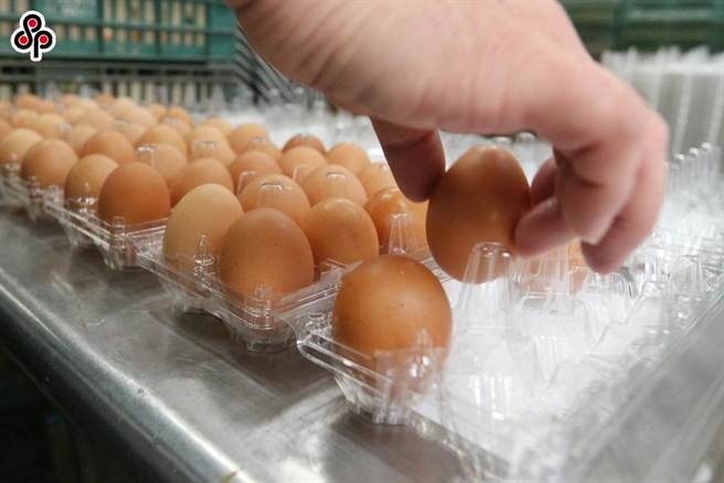 近日雞蛋價格再度追平歷史高點、且全台也不易購買到雞蛋，農委會強調尊重雞蛋市場機制。（報系資料照）