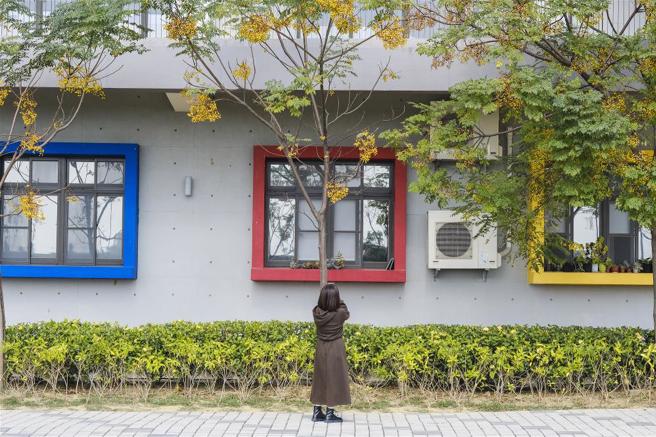 官田遊客中心以代表稻浪及水庫波光的黃色，搭配西拉雅族服飾常見的紅色、藏青色，點綴窗框，營造活潑氛圍。(圖／莊坤儒)