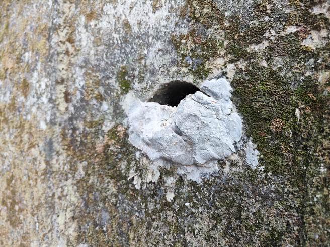 快到小岭顶景观台前的步道有一处20公尺的挡土墙，挡土墙上的排水孔遭不明人士填充水泥。（吴建辉摄）