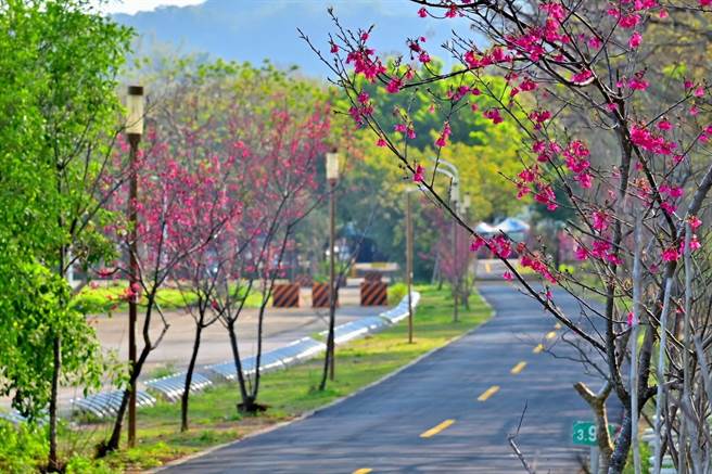 228连假长达4天，台中市观光旅游局力邀民眾来山城骑车、泡汤轻旅行。（台中市观光旅游局提供／陈淑娥台中传真）