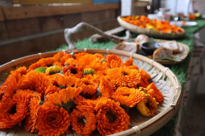 新竹县尖石乡那罗湾休閒农业区栽种1.2公顷面积金盏花，228连假起邀请民眾亲自来採花。（邱立雅摄）