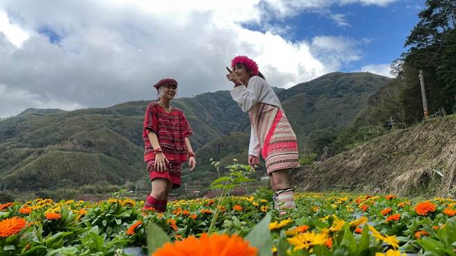 尖石乡那罗部落中有金黄灿烂的金盏花，预计228连假即可观赏花海。（那罗湾休閒农业区提供／邱立雅竹县传真）
