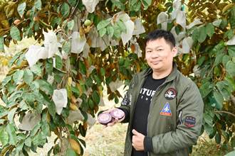 台南工程師斜槓當農夫 科技農法栽種「水果新貴」
