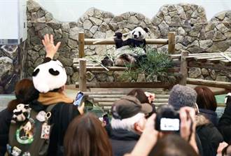 3隻旅日大貓熊返陸 和歌山縣大批民眾湧入送別