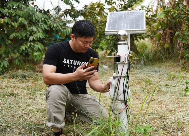 他运用智慧科技，产出的牛奶果品质稳定，收成完经常销售一空。（云嘉南分署提供／张毓翎台南传真）