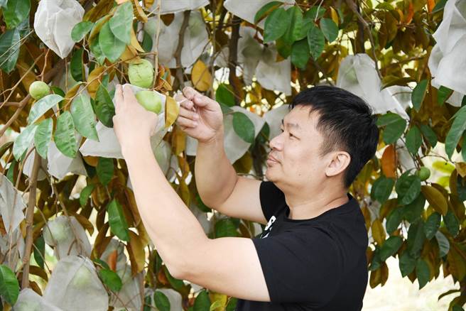 从工程师斜杠乐当农夫的薛荣健。（云嘉南分署提供／张毓翎台南传真）