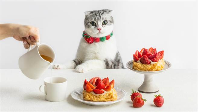 食芋堂「草莓芋泥泡芙」浓郁内馅搭酸甜草莓做到口感平衡，125元。（食芋堂提供）