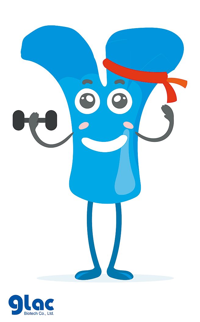 「双歧杆菌益生菌」，由丰华生技在台湾制造生产，可以让益生菌到肠道都很健康、并充满活力，拥有No.1的国际精品级益生菌。图／丰华生技提供