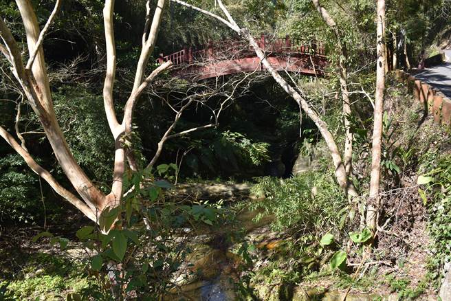 大湖乡大窝生态区的大窝溪是当地重要生命水源。（谢明俊摄）