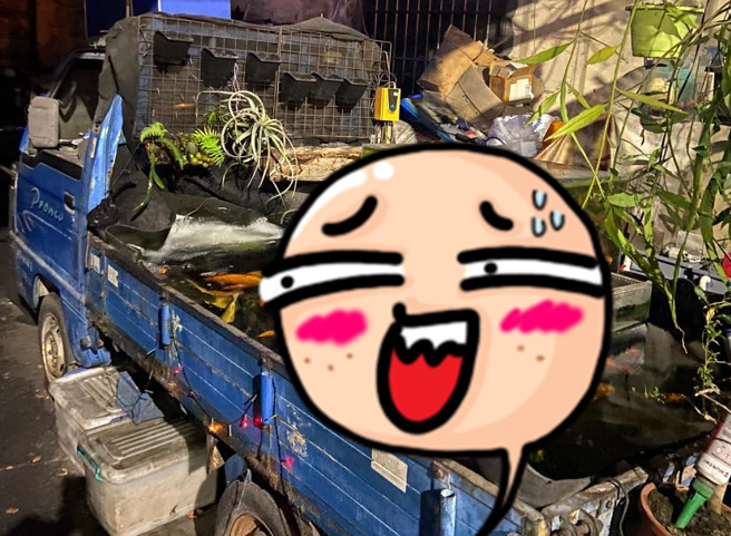 一名网友在台中发现一辆发财车的后车斗被改装成「露天鱼池」，不但灌满水、养满渔，一旁还有盆栽造景，网友笑说「台中人真的非常喜欢养鱼」。（翻摄自脸书「路上观察学院」）