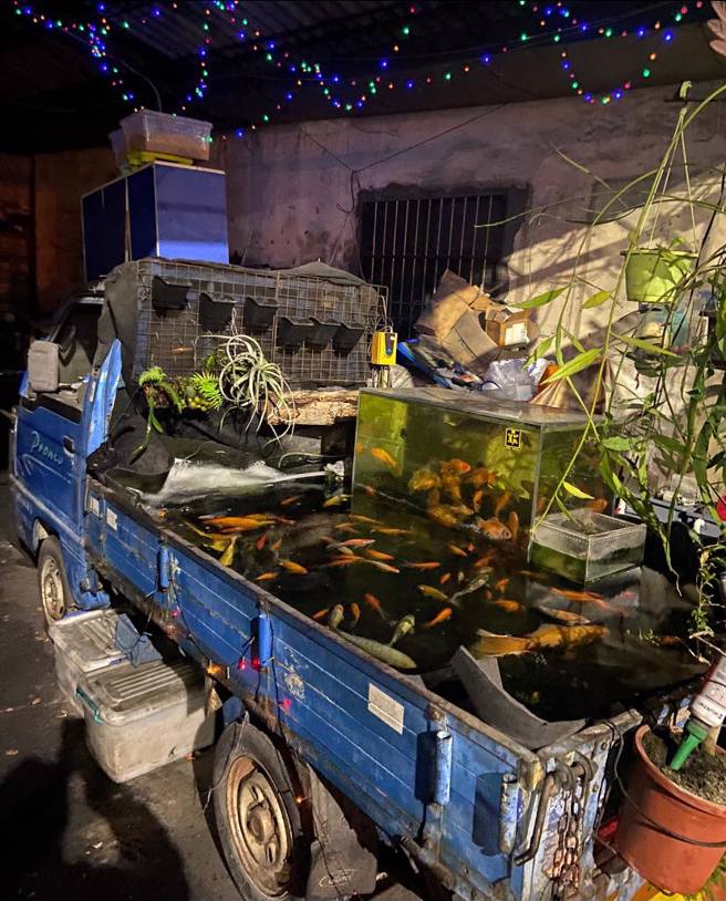一名网友在台中发现一辆发财车的后车斗被改装成「露天鱼池」，不但灌满水、养满渔，一旁还有盆栽造景，网友笑说「台中人真的非常喜欢养鱼」。（翻摄自脸书「路上观察学院」）