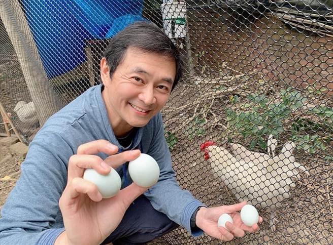 湯志偉飼養雞隻，每日都有近10顆蛋的產量。（摘自臉書）