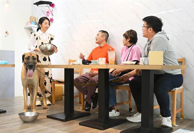 汤志伟（左二）带着大丹狗上节目，还自备钢盆让陶晶莹（左一）备餐。（台视提供）