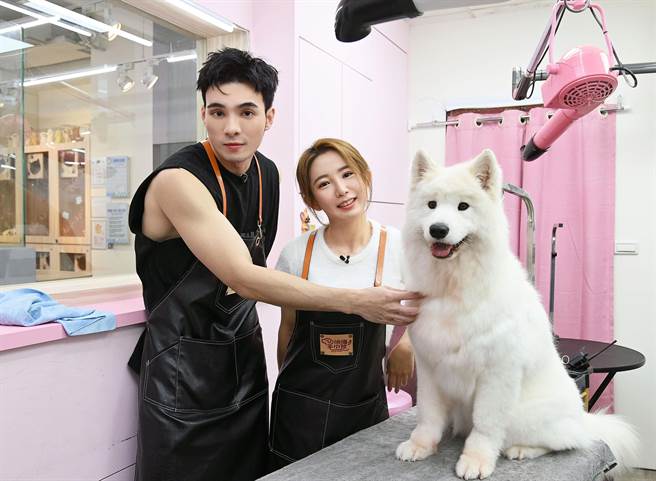 黄伟晋（左）和郭书瑶完成萨摩耶的美容。（台视提供）