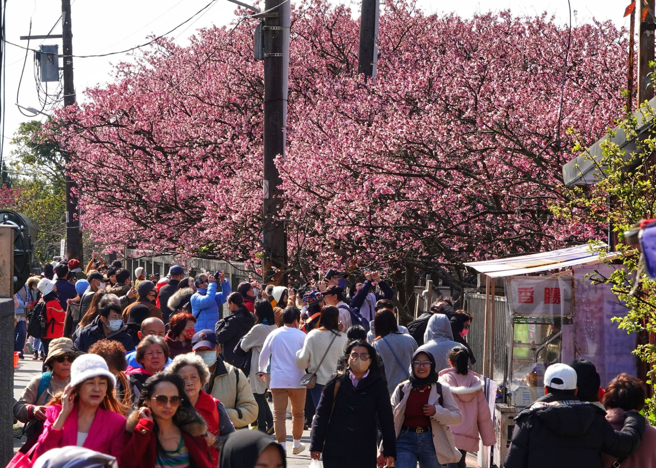 塔罗牌老师艾菲尔分享2／24～2／26的12星座运势。（黄世麒摄）