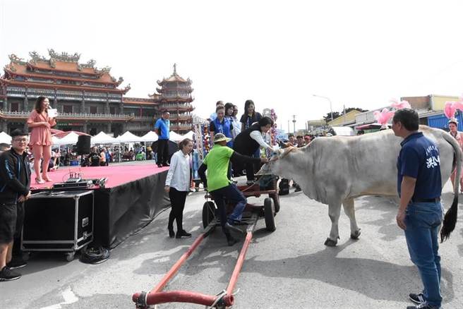 彰化县政府举办海牛文化节，择定在5月28日登场。（本报资料照片／吴敏菁彰化传真 ）