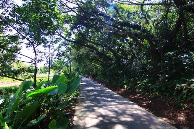 山猪湖生态园区(右岸)。（水务局提供／蔡明亘桃园传真）