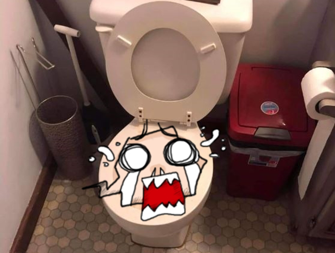 正妹疑似在公共厕所遇到「竹笋Size大的黄金」，让她不知该怎么将排泄物冲掉。（翻摄自脸书爆废公社二馆）