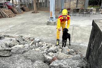 竹市特搜能量再提升 4隻搜救犬通過IRO國際認證