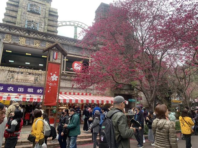 九族文化村初估，4天连续假期累计入园游客数将超过5万人。（业者提供／杨静茹南投传真）