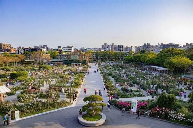 台北玫瑰展区内超过800种玫瑰将于3月中旬百花齐鸣。（北市公园处提供／杨亚璇台北传真）
