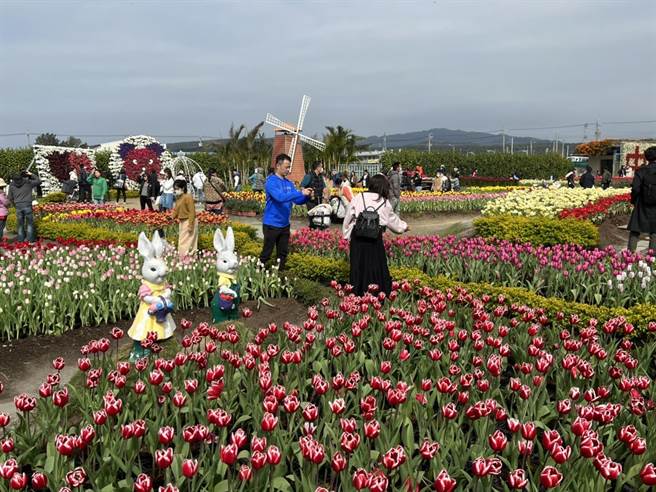 后里中社观光花市游客如织，郁金香美景尽收眼底。（陈淑娥摄）