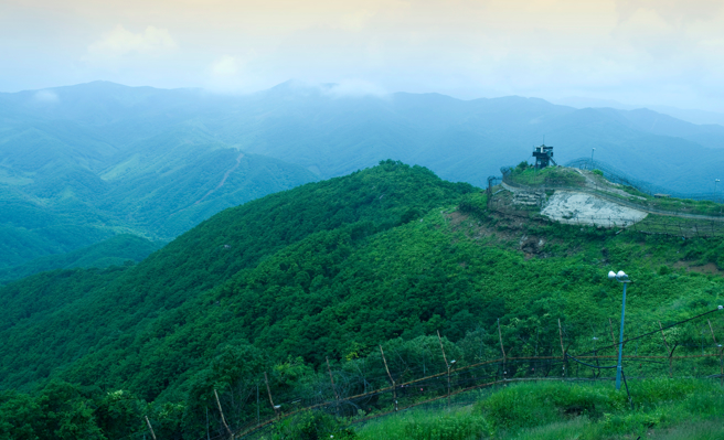 南北韩非军事区是全球军事化程度最高的地方之一，几乎无人居住，成为许多稀有动植物的避难天堂。（图／Shutterstock）