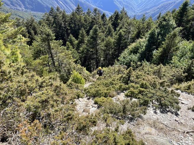 搜救人员降落后回报，于甘薯峰直升机降落点附近听到呼救声。(台中市消防局提供)