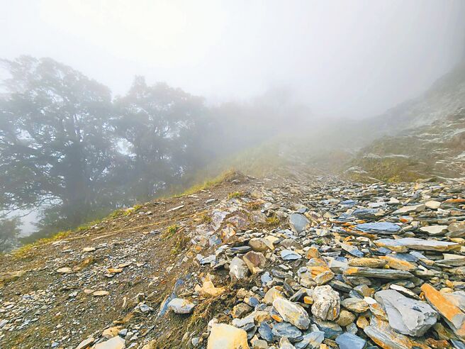 民进党前立委林丰喜之子林维新20日于能高越岭古道东段五甲崩山坠谷身亡，事隔6天，严姓女山友亦在沿线坠谷。图为五甲崩山步道路径。（花莲县消防局提供／罗亦晽花莲传真）