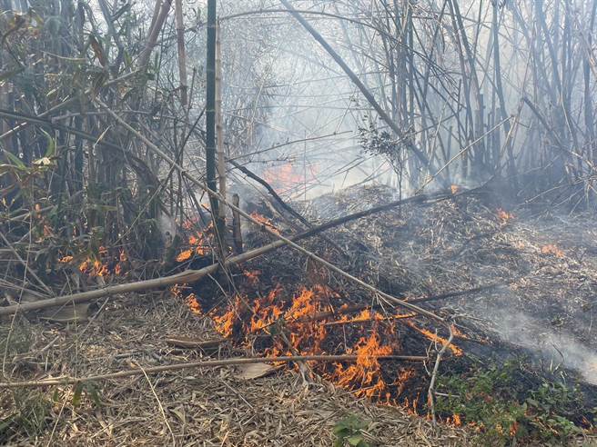 崙背乡草湖村堤防防风林同一地点自昨日（2月28日）到今（3月1日）连续发生4起杂草火灾，图为今日上午又起火。（民眾提供）