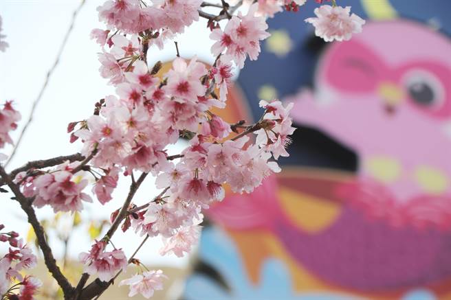 台中人只要300元，就能赏樱、玩乐园、吃美食，开心玩乐一整天。(丽宝乐园提供)