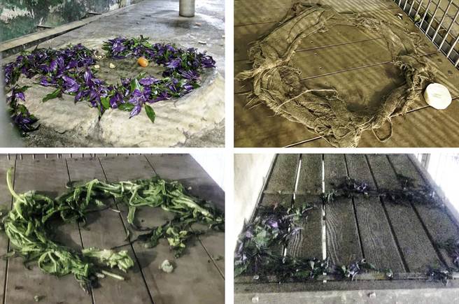 黑猩猩「娃智」把不爱吃的食材排列成「圆形魔法阵」。（北市动物园提供）