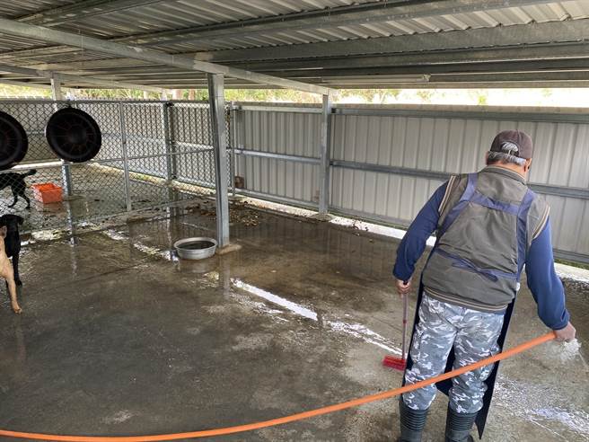 池上乡公所成立浪犬之家，狗狗在围篱内晒太阳嬉戏、工作人员忙着清洗地板和喂食。（蔡旻妤摄）