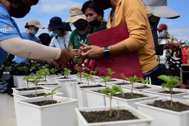 植树月即将到来，台东林管处规画了7场次的赠苗活动。（本报资料照片）