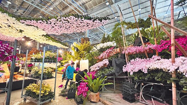 2023台灣國際蘭展3月4日登場，二二八連假最後一天，相關單位加緊布置展場。（張毓翎攝）