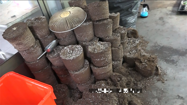 根据了解，1株大麻珠可以年收4次，年产值约6百公克，若以目前市场行情每公克约二千元换算，光1株大麻年产值就有120万。（彰化检方提供／吴建辉彰化传真）