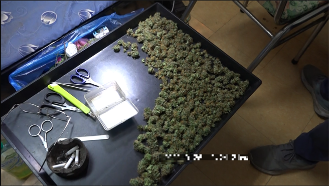 检方在现场查获725株大麻株、617颗大麻种子、2518.9公克乾燥大麻花、4010公克未乾燥大麻叶、灯具、温度计、肥料、培养土等栽种、制造大麻工具。（彰化检方提供／吴建辉彰化传真）