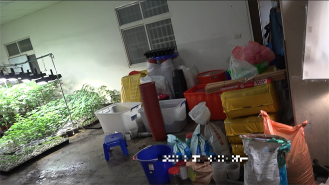 彰化检方于近日侦查终结，认被告陈嫌涉有违反毒品危害防制条例第4条第2项之制造第二级毒品大麻罪嫌，予以提起公诉。（彰化检方提供／吴建辉彰化传真）