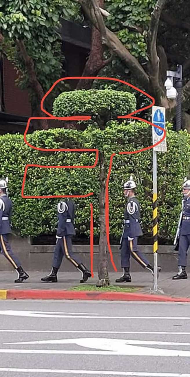 所幸眼尖網友幫忙解答，原來儀隊弟兄的頭剛好被一旁的樹「錯位」擋住了。(翻攝臉書路上觀察學院)