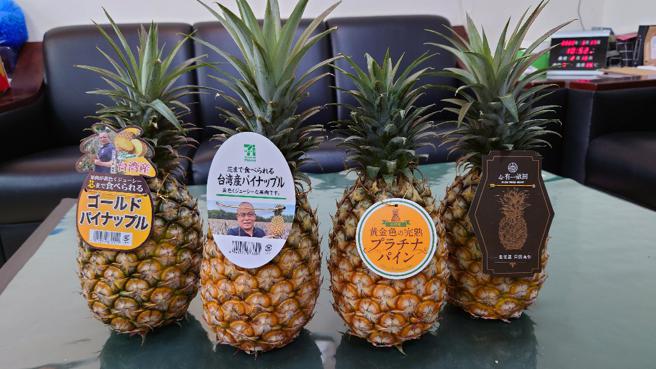 高雄凤梨以内外销方式分流，外销主打日本市场，内销则以媒合通路、企业认购及办理学校午餐奖励计画来提升国内的食用量。(高雄市农业局提供)