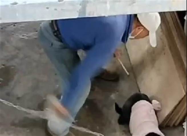 有民眾录下狗狗被饲主殴打画面，像新竹县动防所检举。（蔡蕥鍹提供／邱立雅竹县传真）