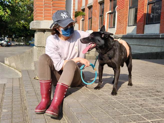 新竹县动物保护防疫所为让浪浪们不再流浪，于3月3日为20只毛小孩们举办汪汪抽籤认养活动。（新竹县府提供／邱立雅竹县传真）