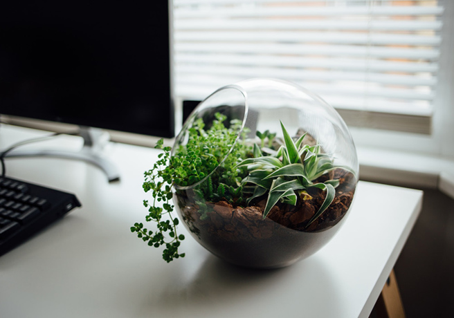 2023年兴起一股「绿色存款」浪潮。（图/ 远见提供）