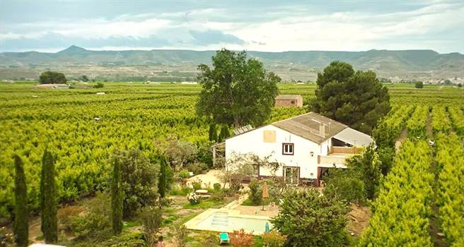 《桃子樹的最後豐收》在西班牙東部阿爾卡拉斯桃子園實地拍攝。（海鵬提供）