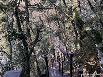 梨山環山獵人步道全線開放 全長2.5公里一窺部落之美