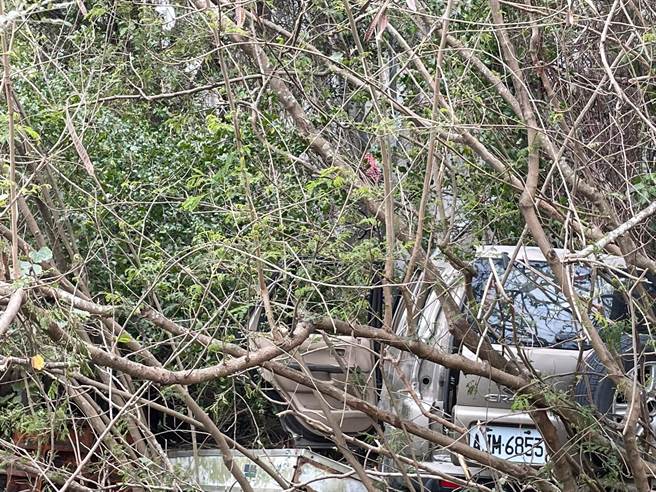 曾姓男子驾车行经头份市北横公路头份大桥前突然失控衝落路旁中港溪乾河床。（读者提供／谢明俊苗栗传真）