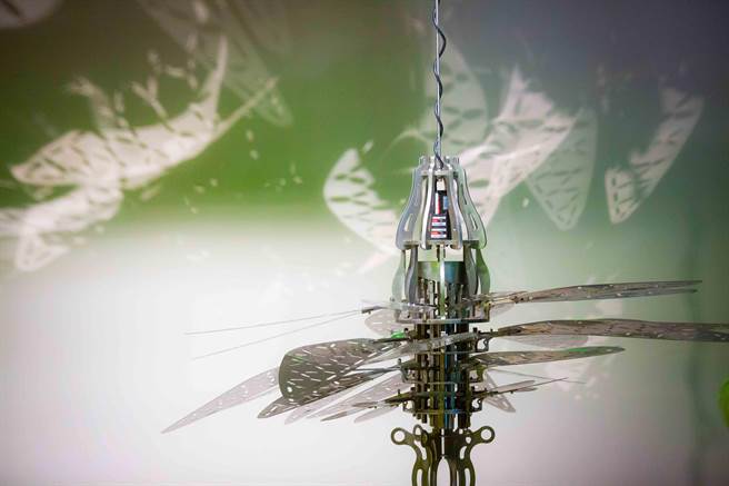 艺术家林建佑作品「飞行种子」，透过机械连动的金属翅膀层层摆动，呈现对植物到生物的混种飞行想像。（袁庭尧摄）